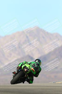 media/Jan-13-2024-SoCal Trackdays (Sat) [[9c032fe5aa]]/Turn 9 Backside (110pm)/